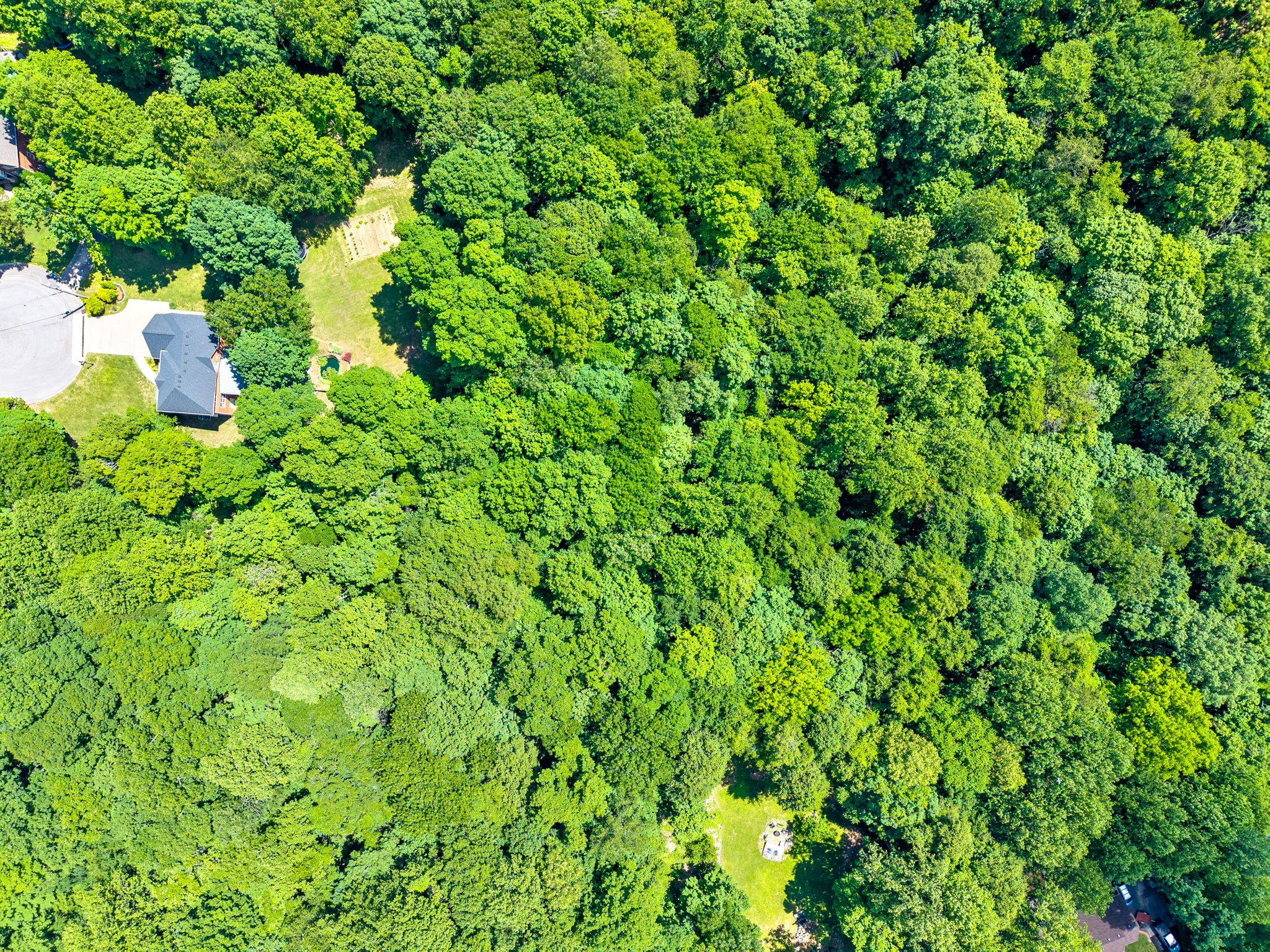 274 Yearling Trce Property Photo 75