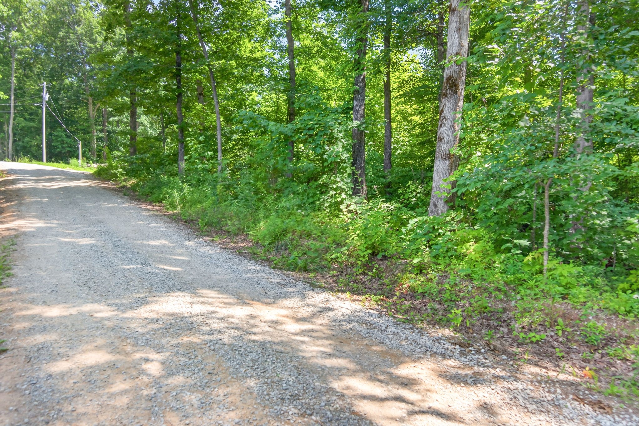 0 Eagle Lane Property Photo 1