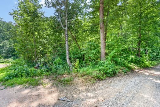 0 Eagle Lane Property Photo 2