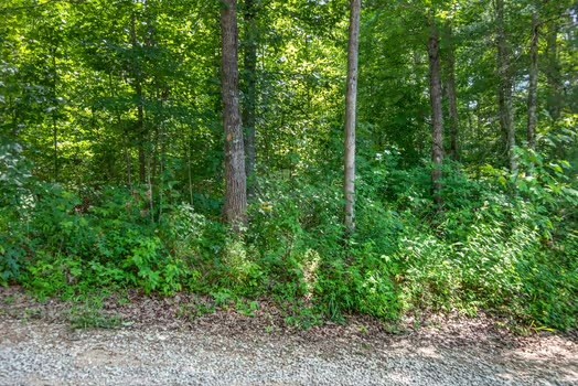 0 Eagle Lane Property Photo 3