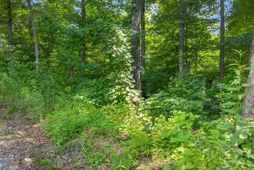 0 Eagle Lane Property Photo 5
