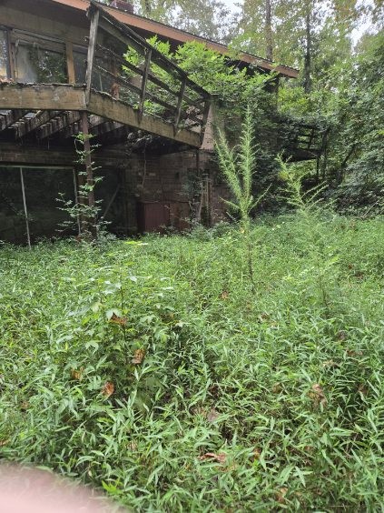 1850 Blanton Rd Property Photo 20