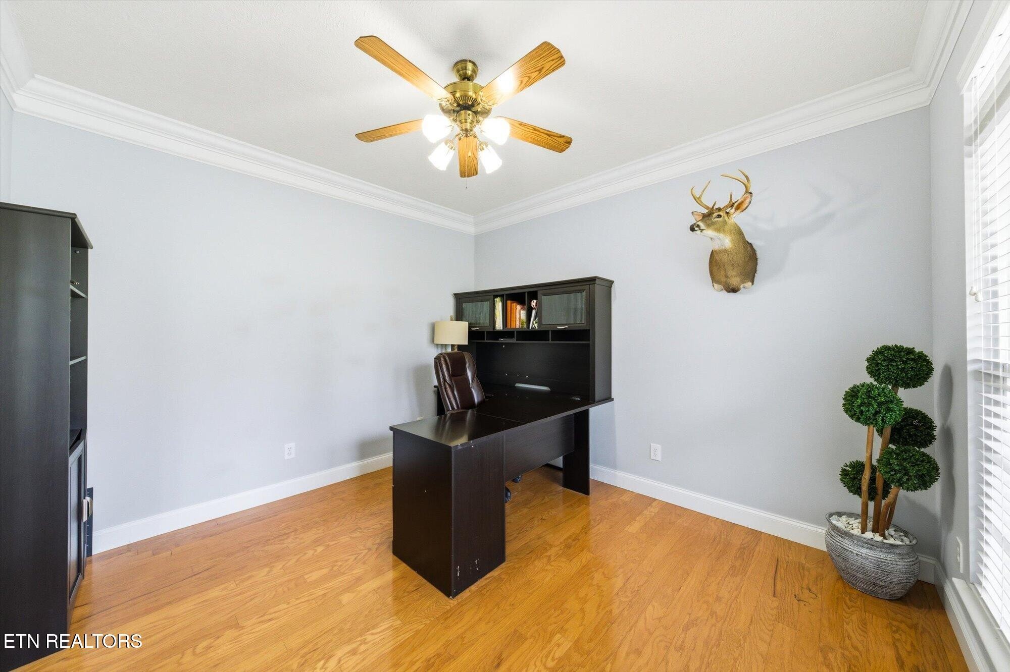 1537 Ellis Woods Loop Property Photo 8