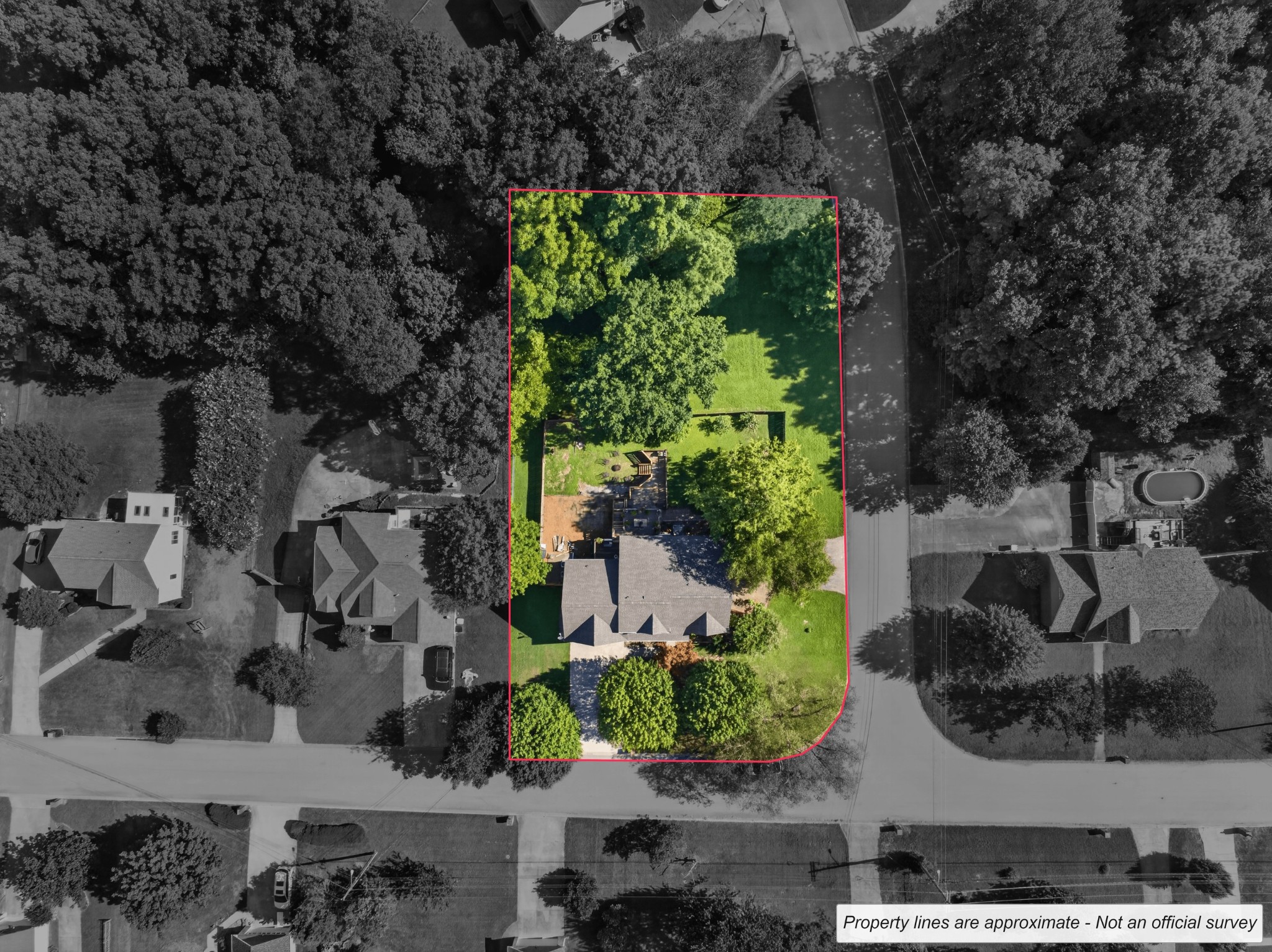 534 Christel Springs Dr Property Photo 1
