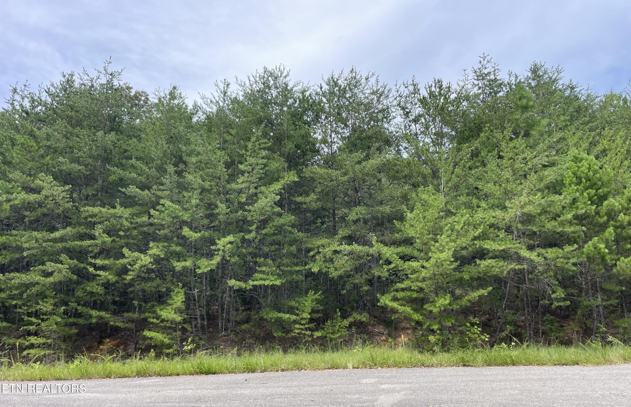 742 White Dogwood Rd Property Photo 1