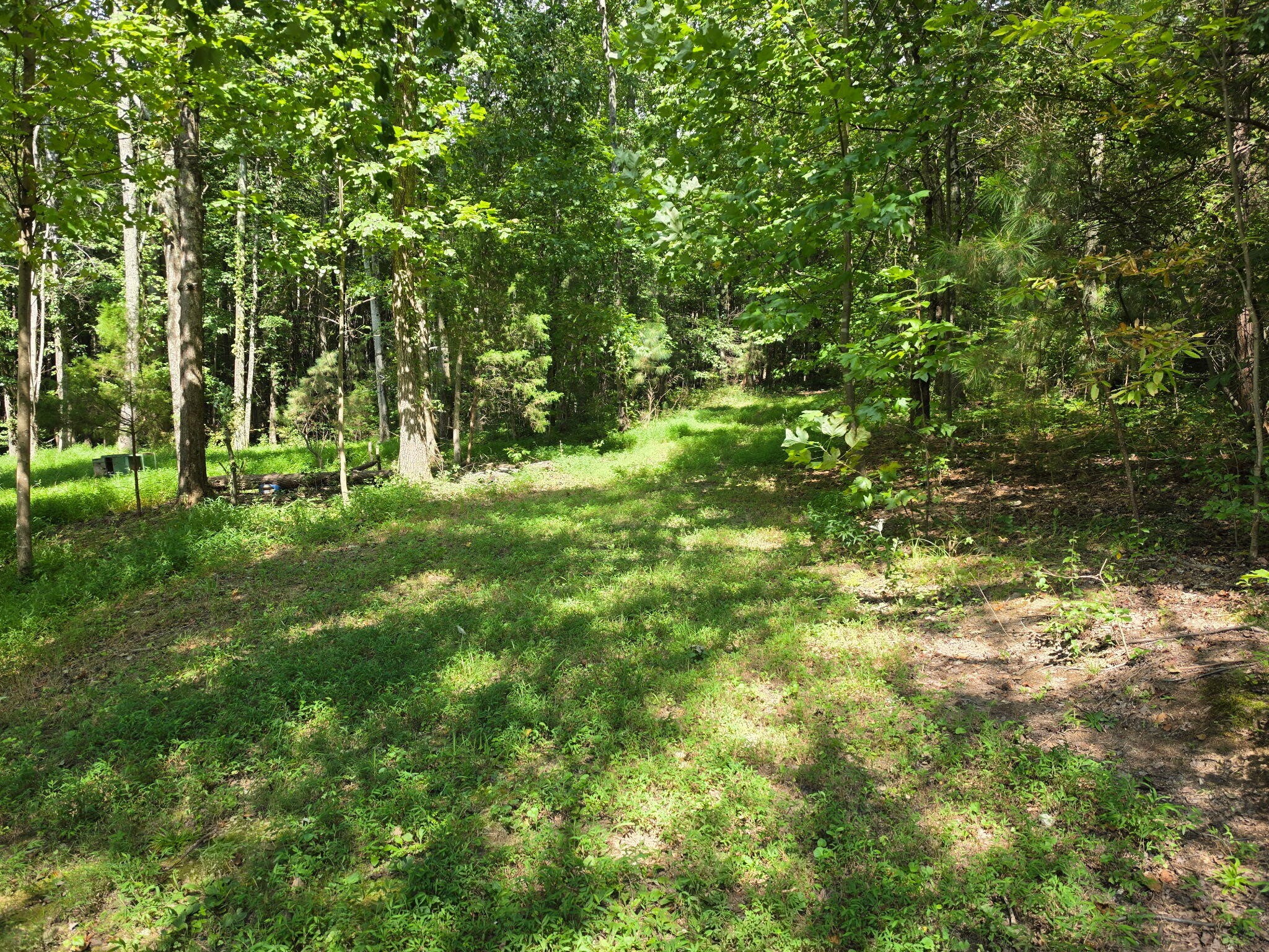 1015 Hotwater Road Property Photo 1
