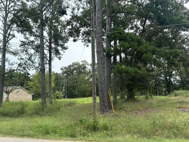 10 Drake Loop Property Photo 3