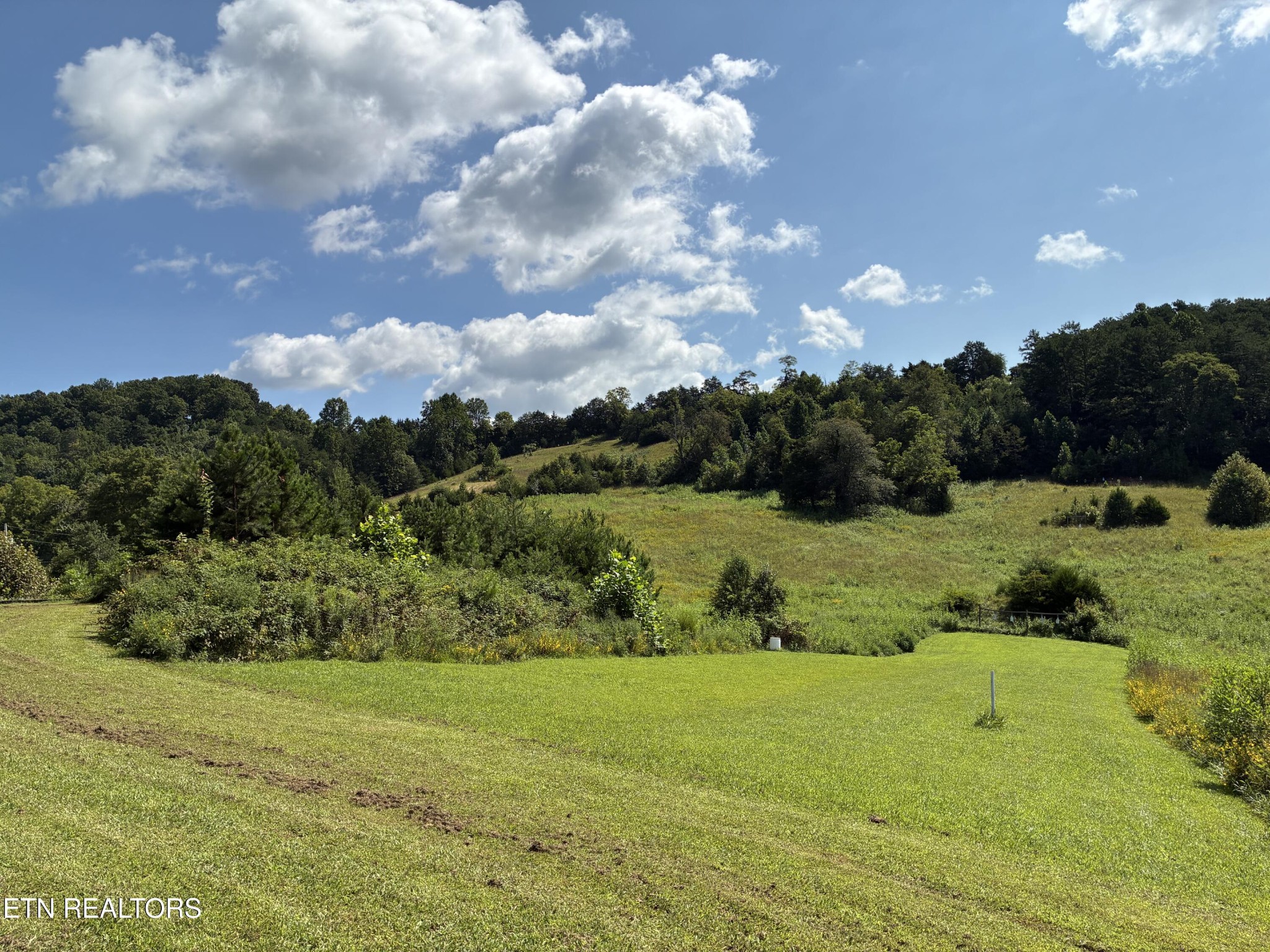 1160 Oak Grove Rd Property Photo 7
