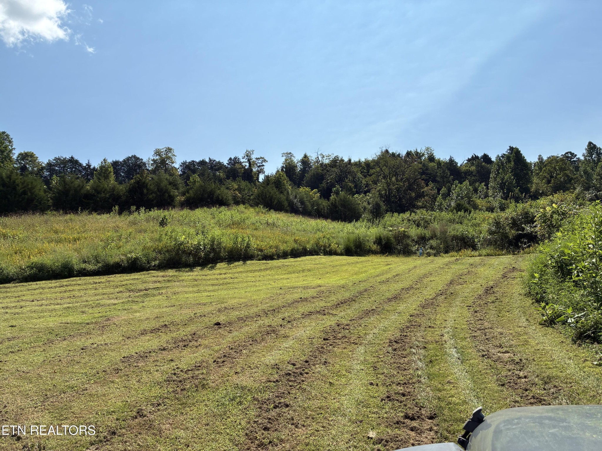 1160 Oak Grove Rd Property Photo 52