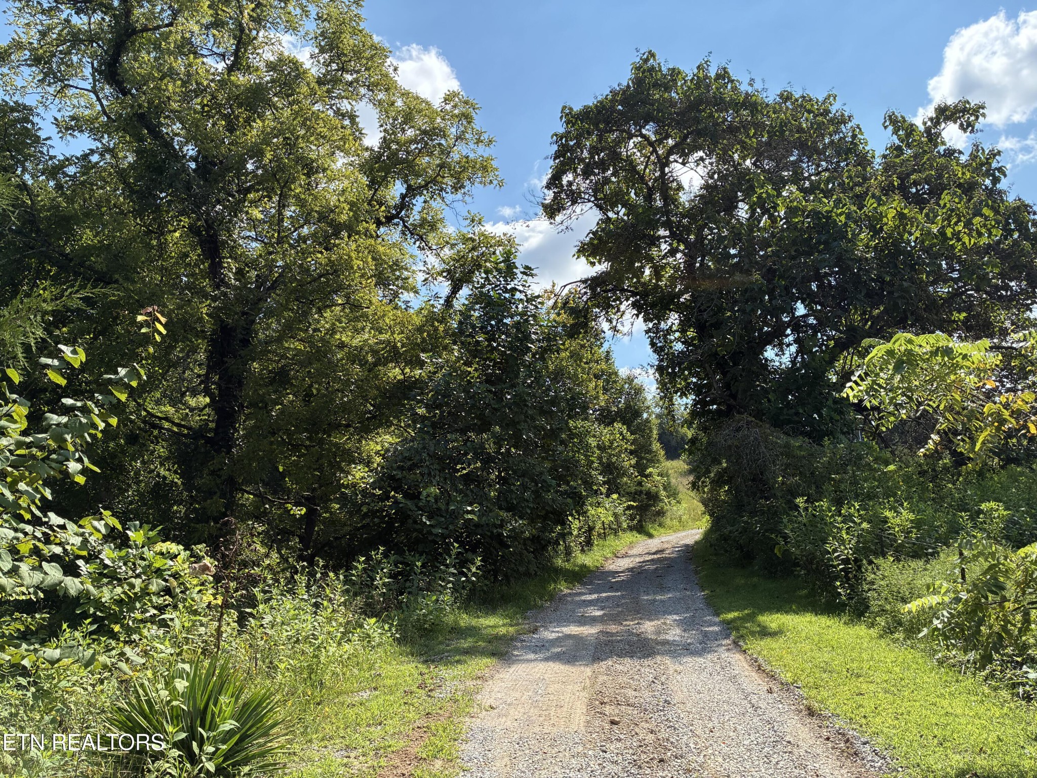 1160 Oak Grove Rd Property Photo 55