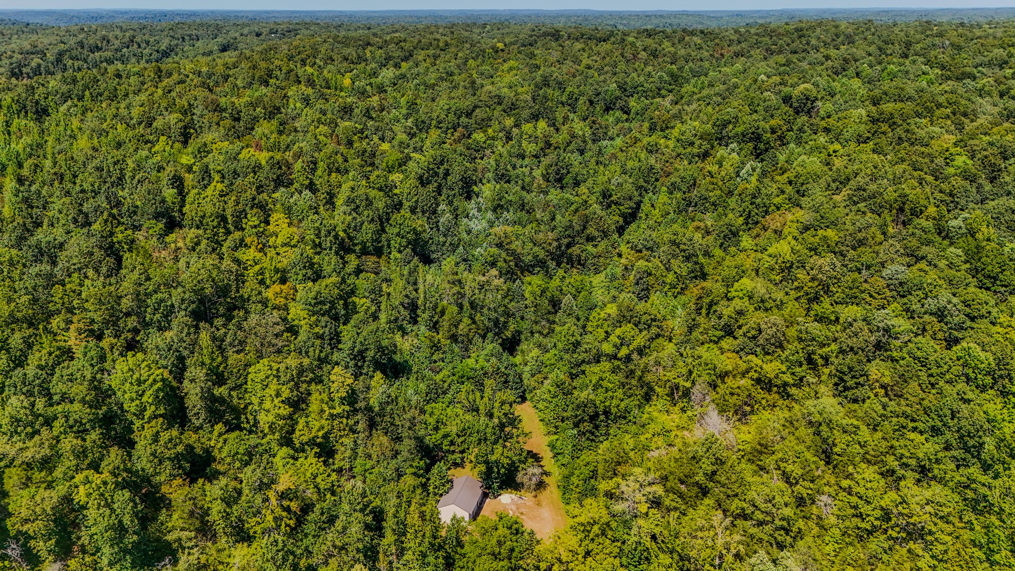 2195 Whiteoak Rd, E Property Photo 7