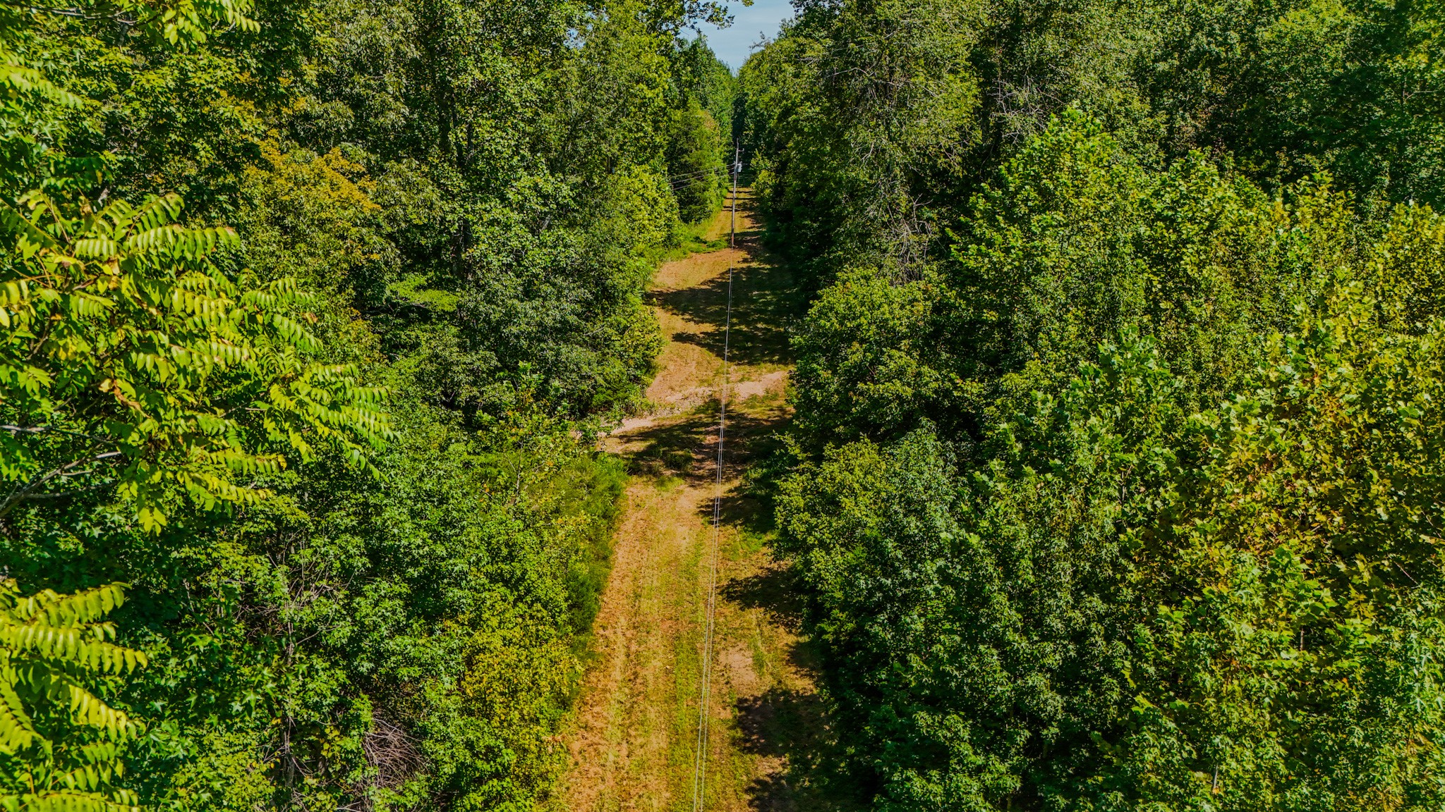 2195 Whiteoak Rd, E Property Photo 8