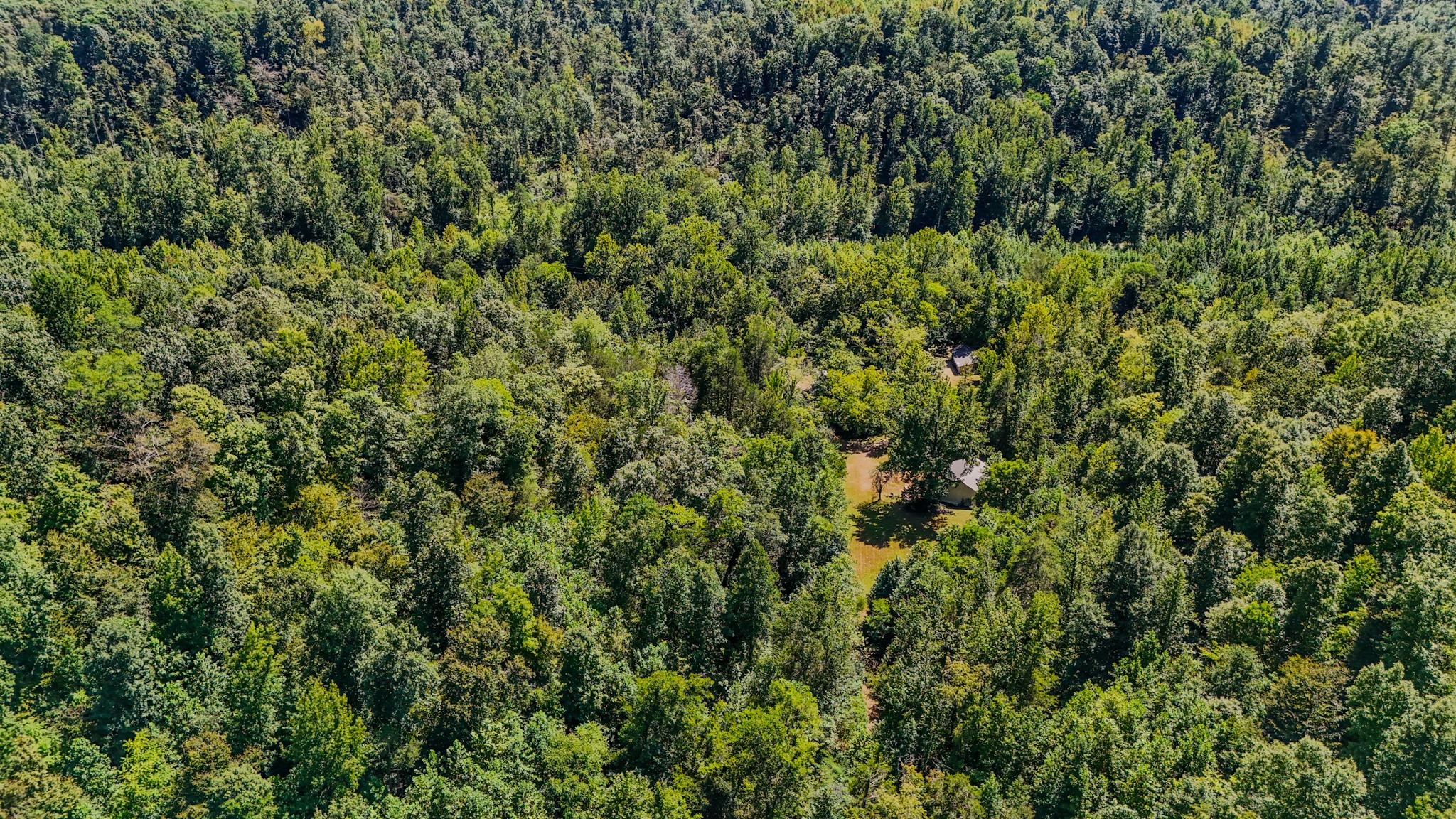 2195 Whiteoak Rd, E Property Photo 12