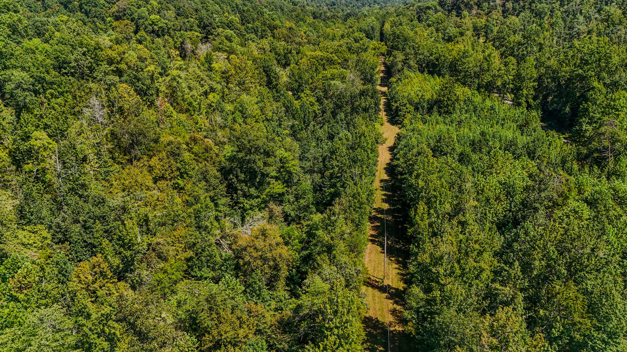 2195 Whiteoak Rd, E Property Photo 13