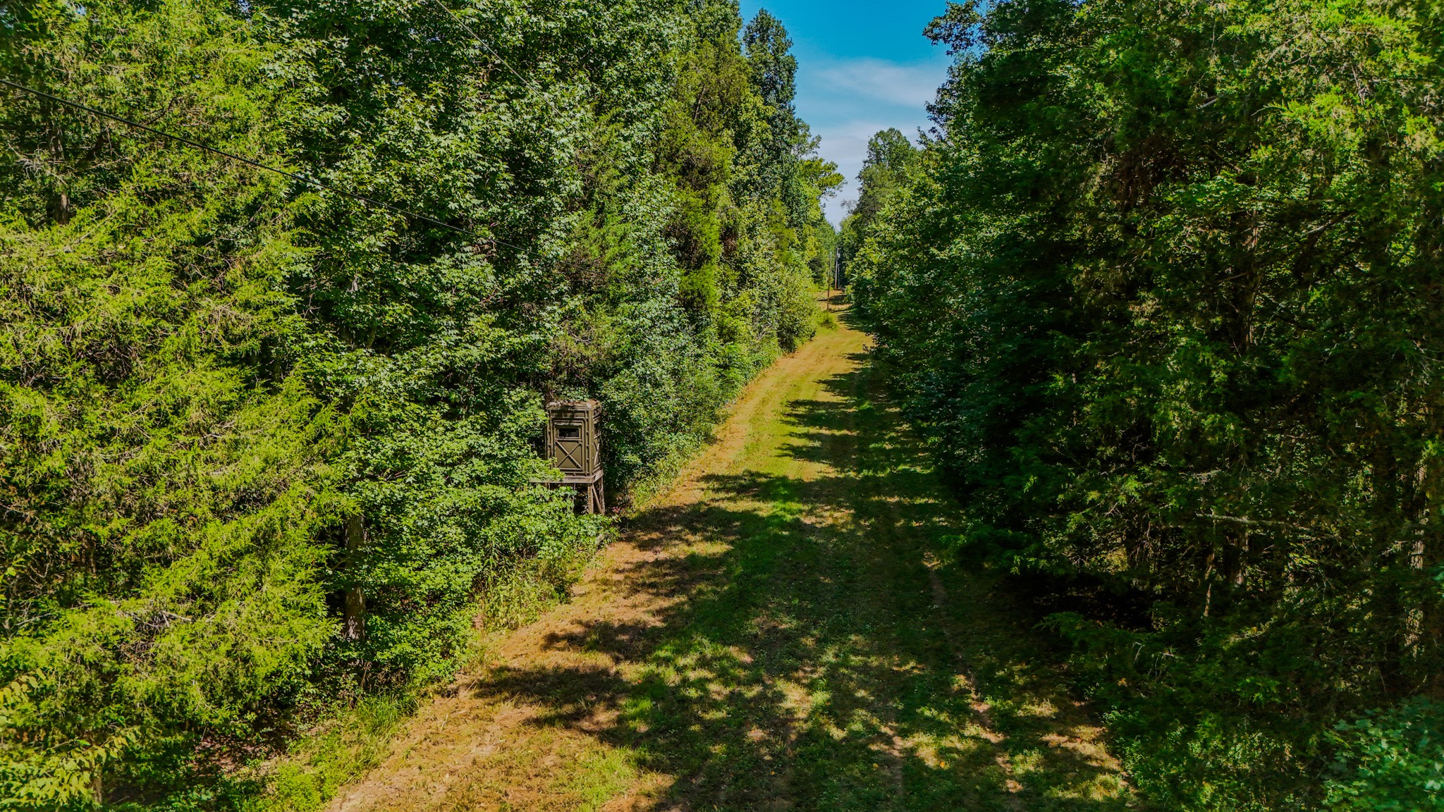 2195 Whiteoak Rd, E Property Photo 15