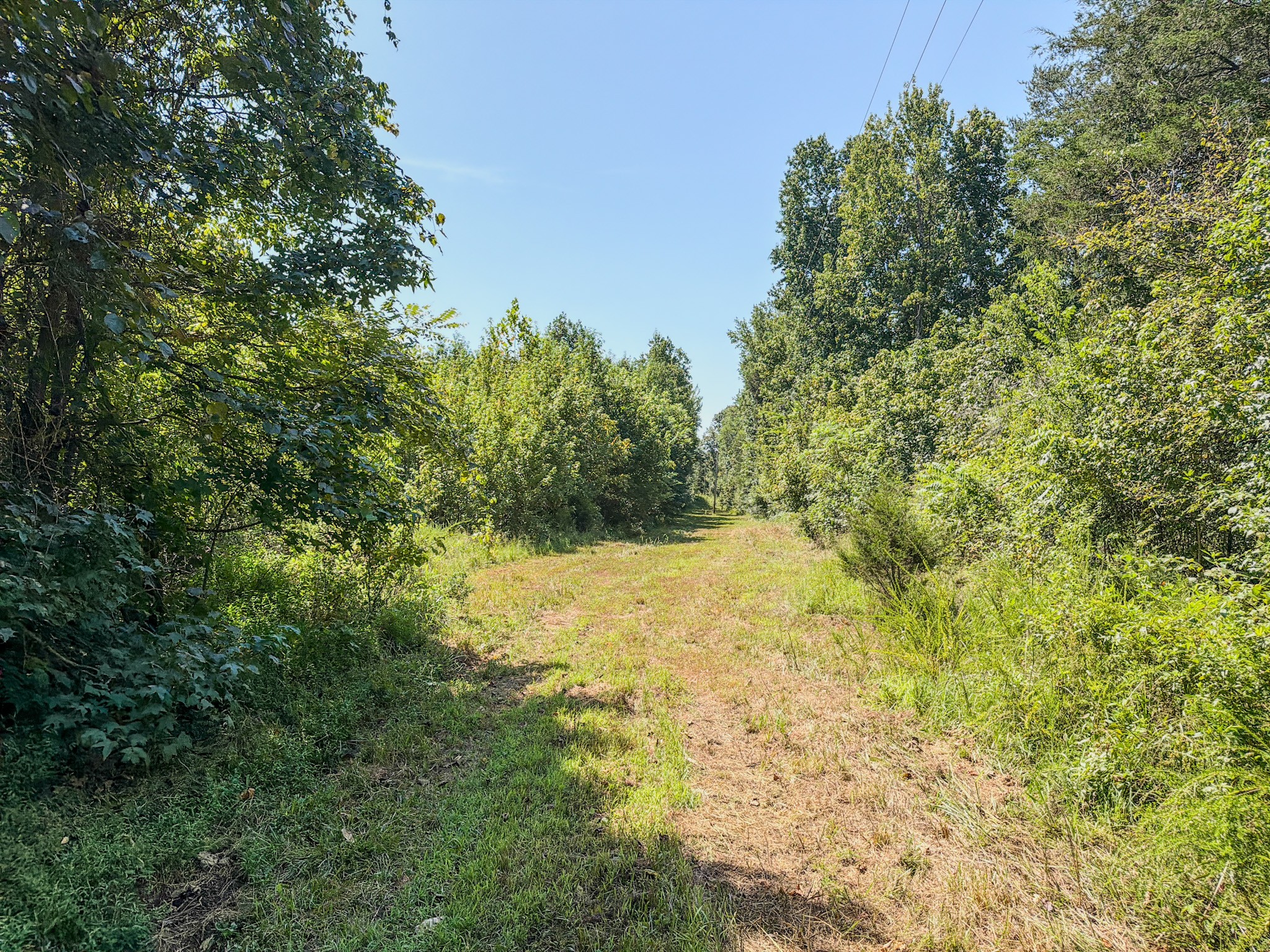 2195 Whiteoak Rd, E Property Photo 29