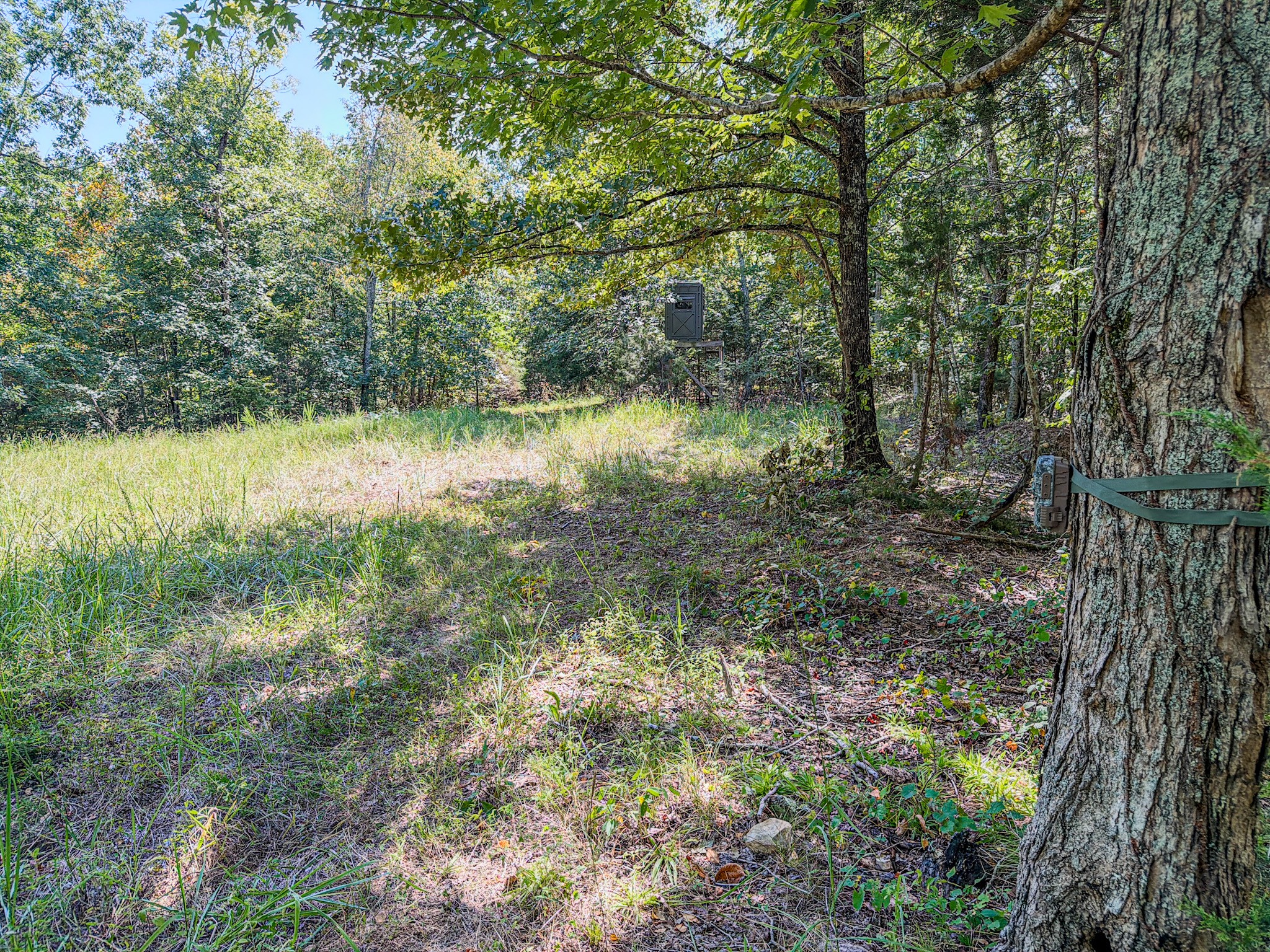 2195 Whiteoak Rd, E Property Photo 32