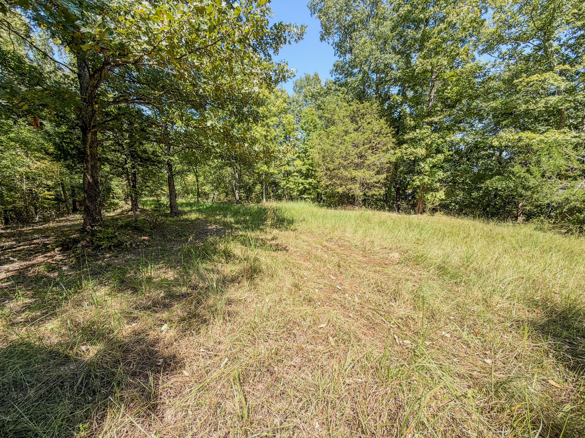 2195 Whiteoak Rd, E Property Photo 33