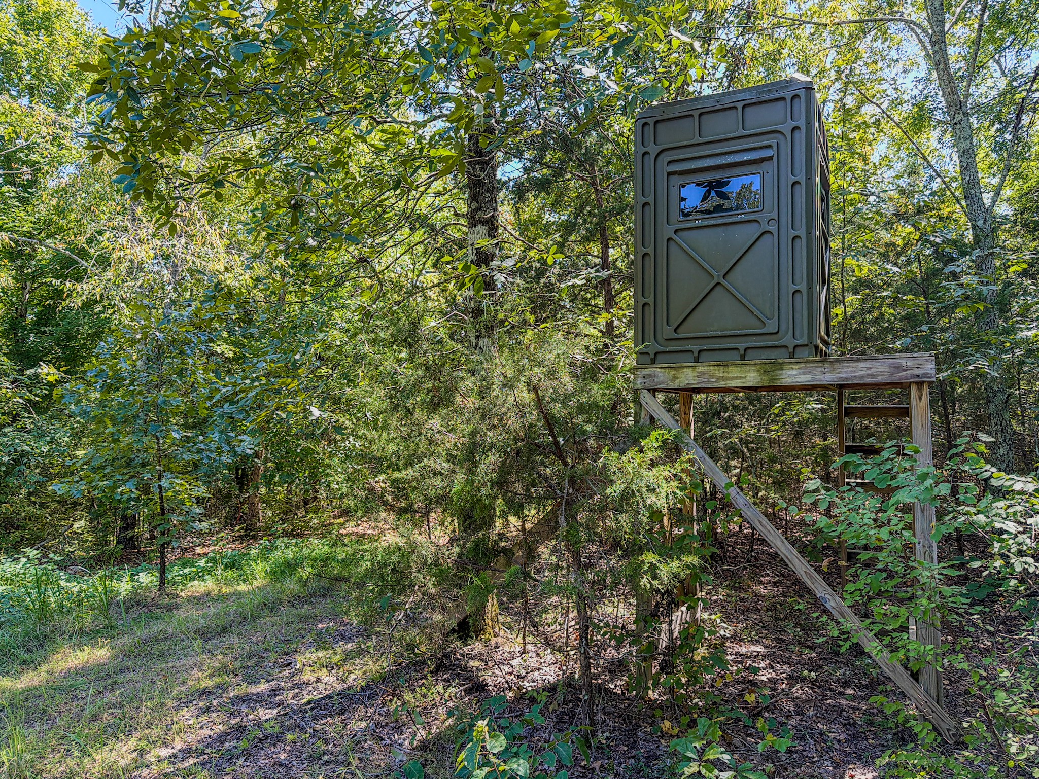 2195 Whiteoak Rd, E Property Photo 34