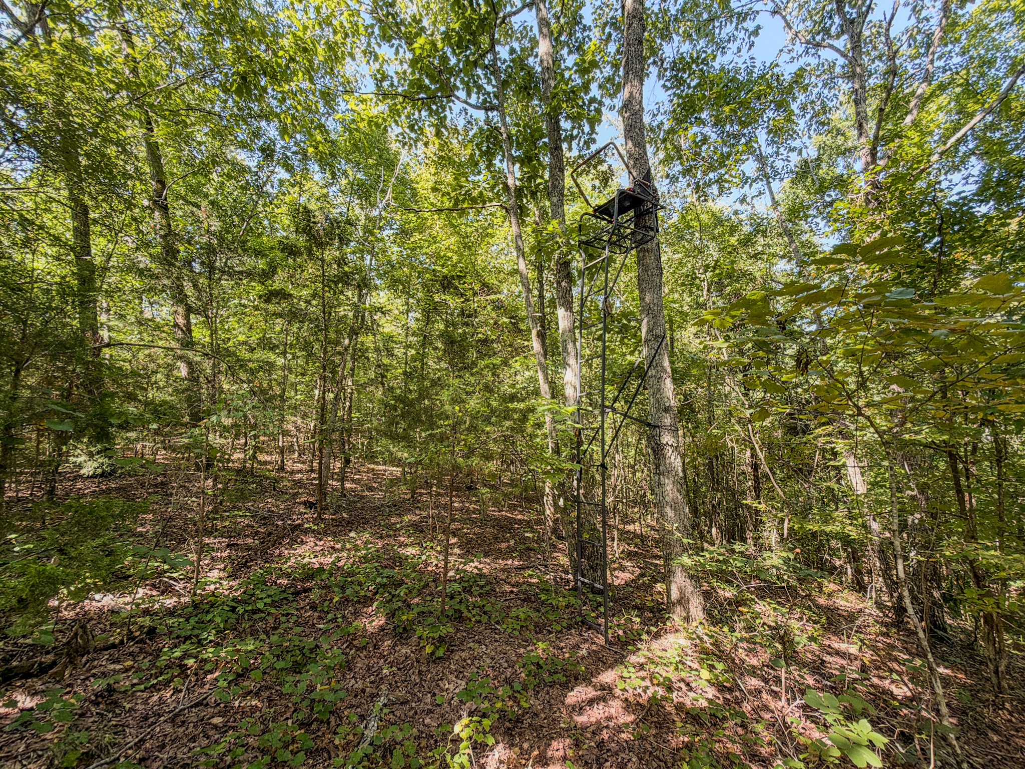 2195 Whiteoak Rd, E Property Photo 35