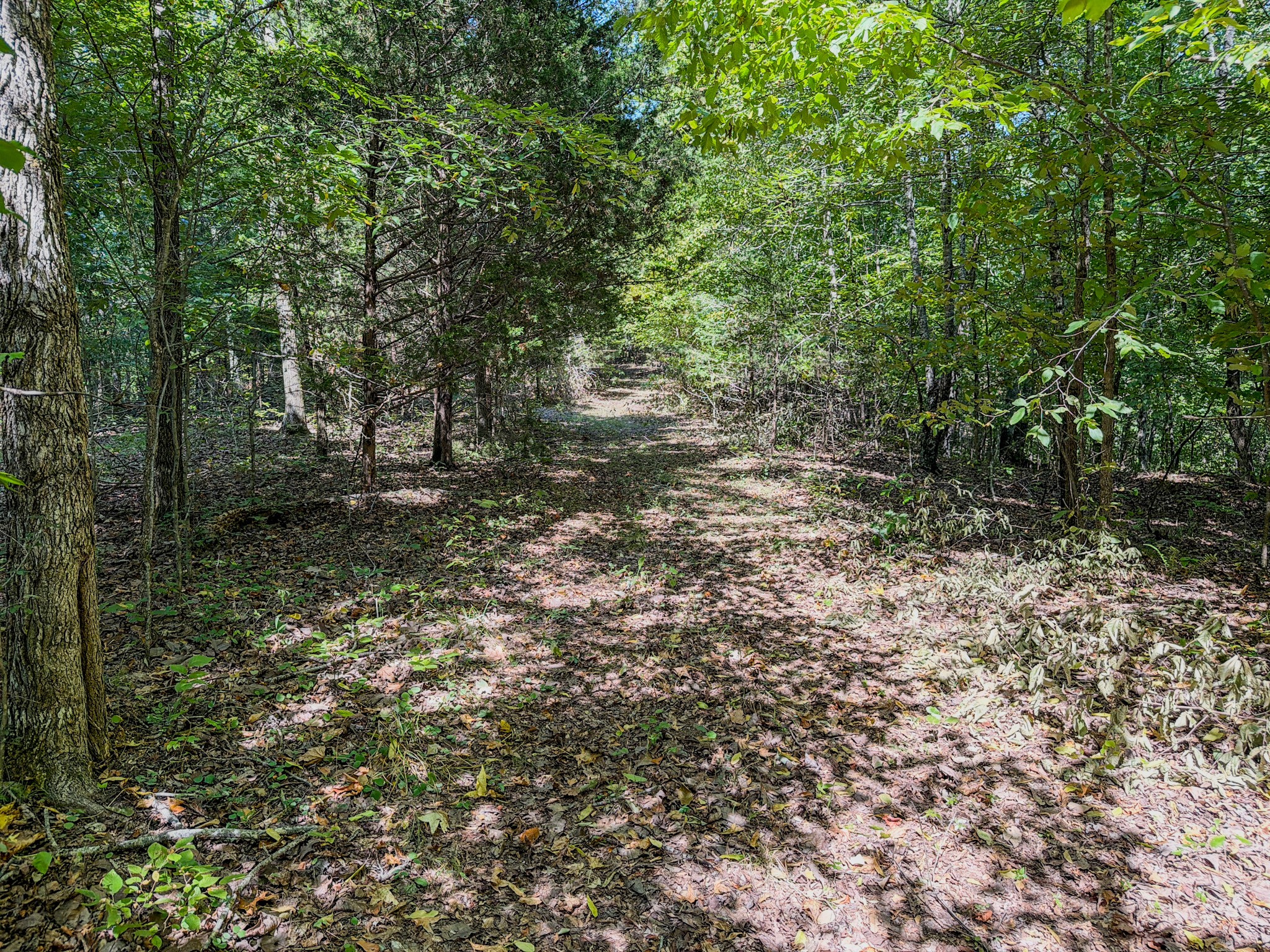 2195 Whiteoak Rd, E Property Photo 36