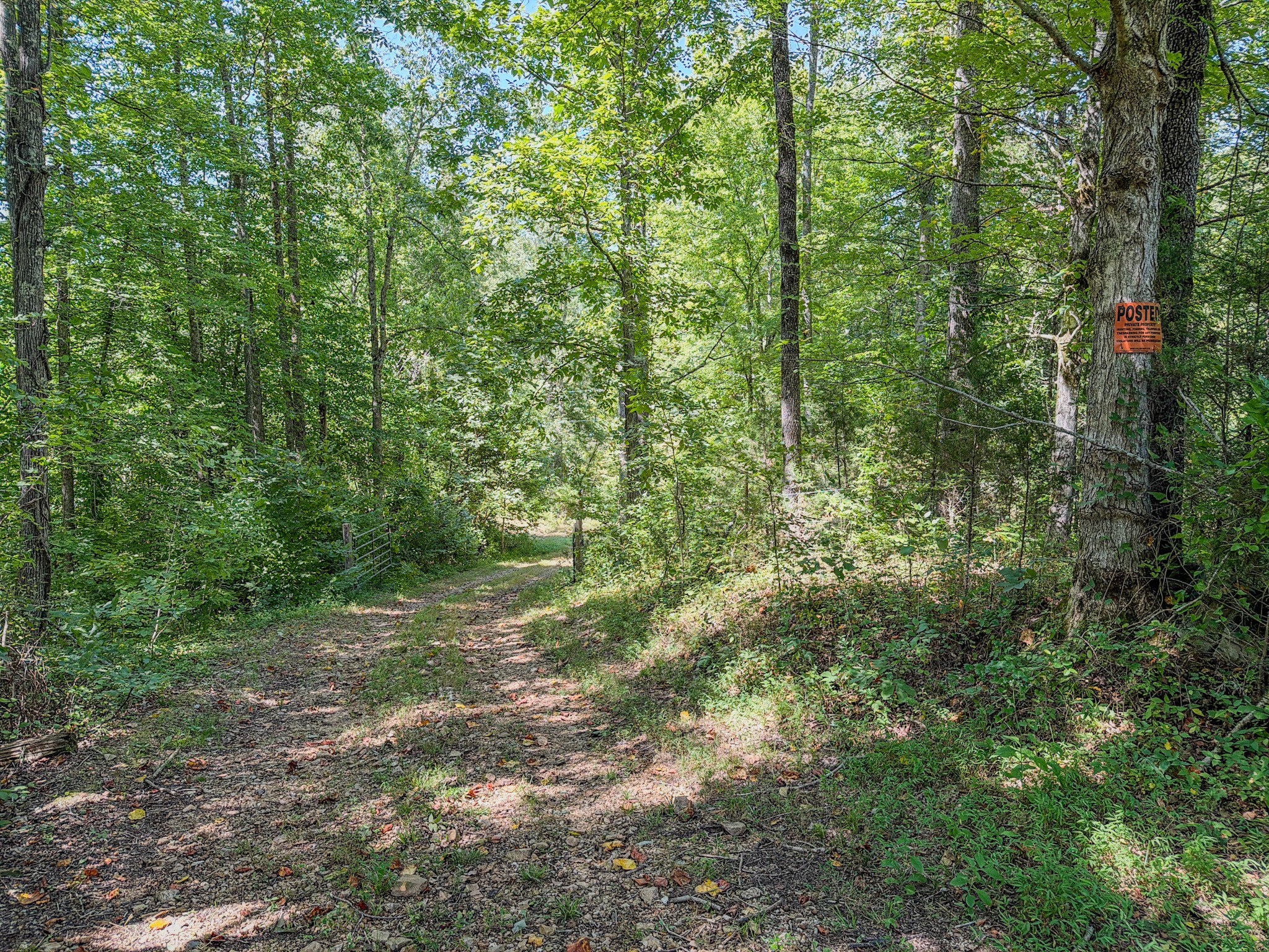 2195 Whiteoak Rd, E Property Photo 37