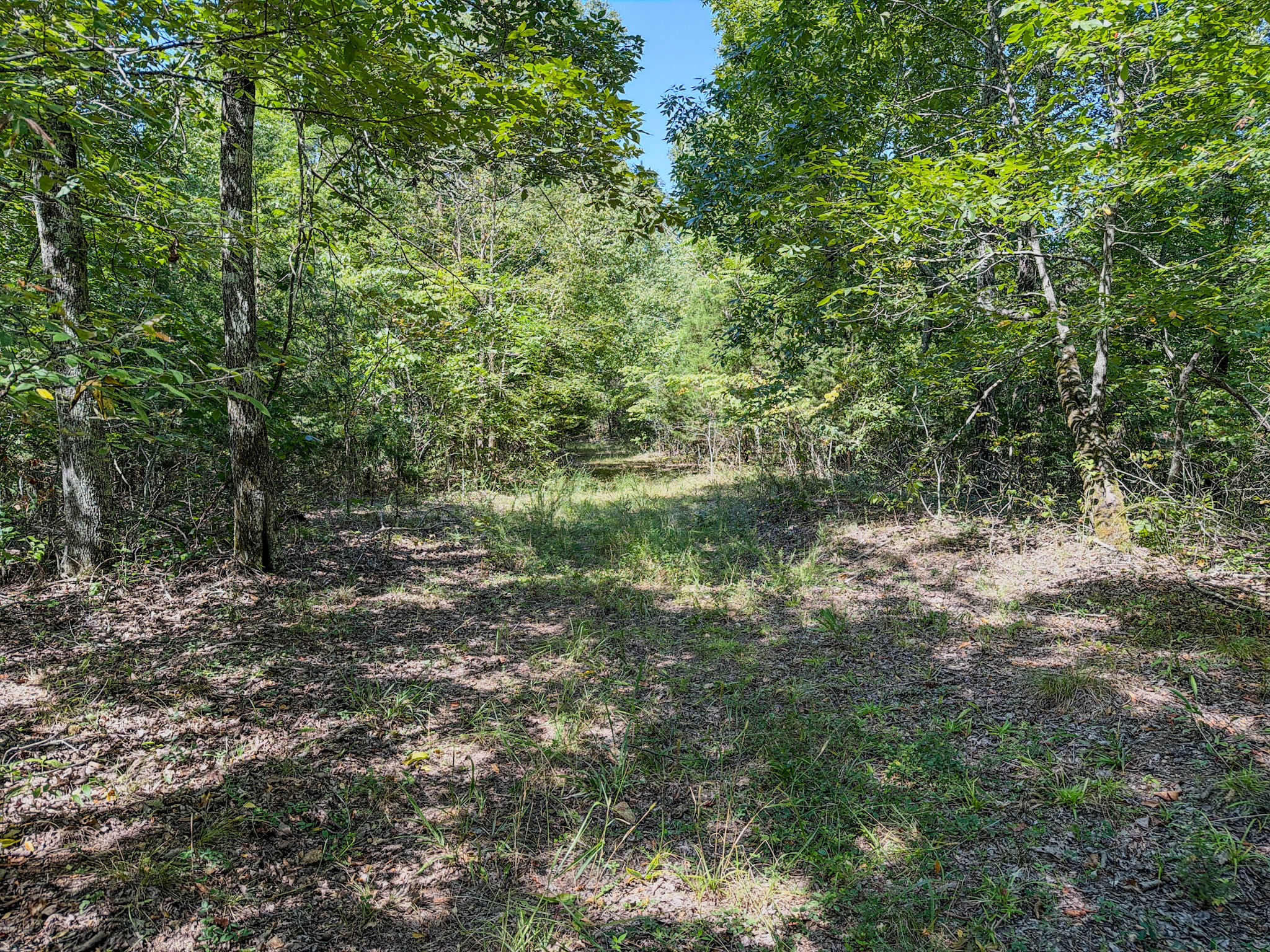 2195 Whiteoak Rd, E Property Photo 38