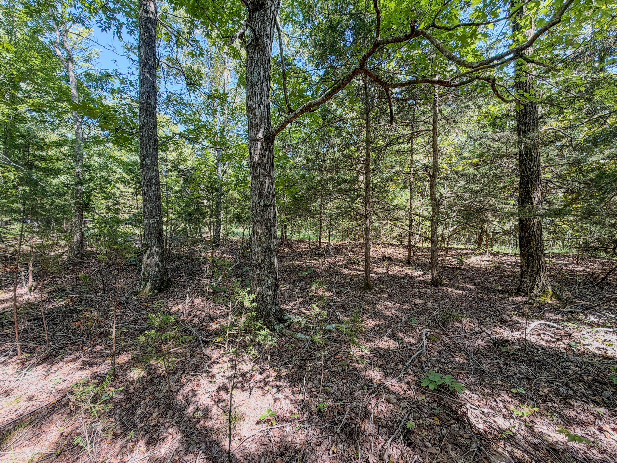 2195 Whiteoak Rd, E Property Photo 40