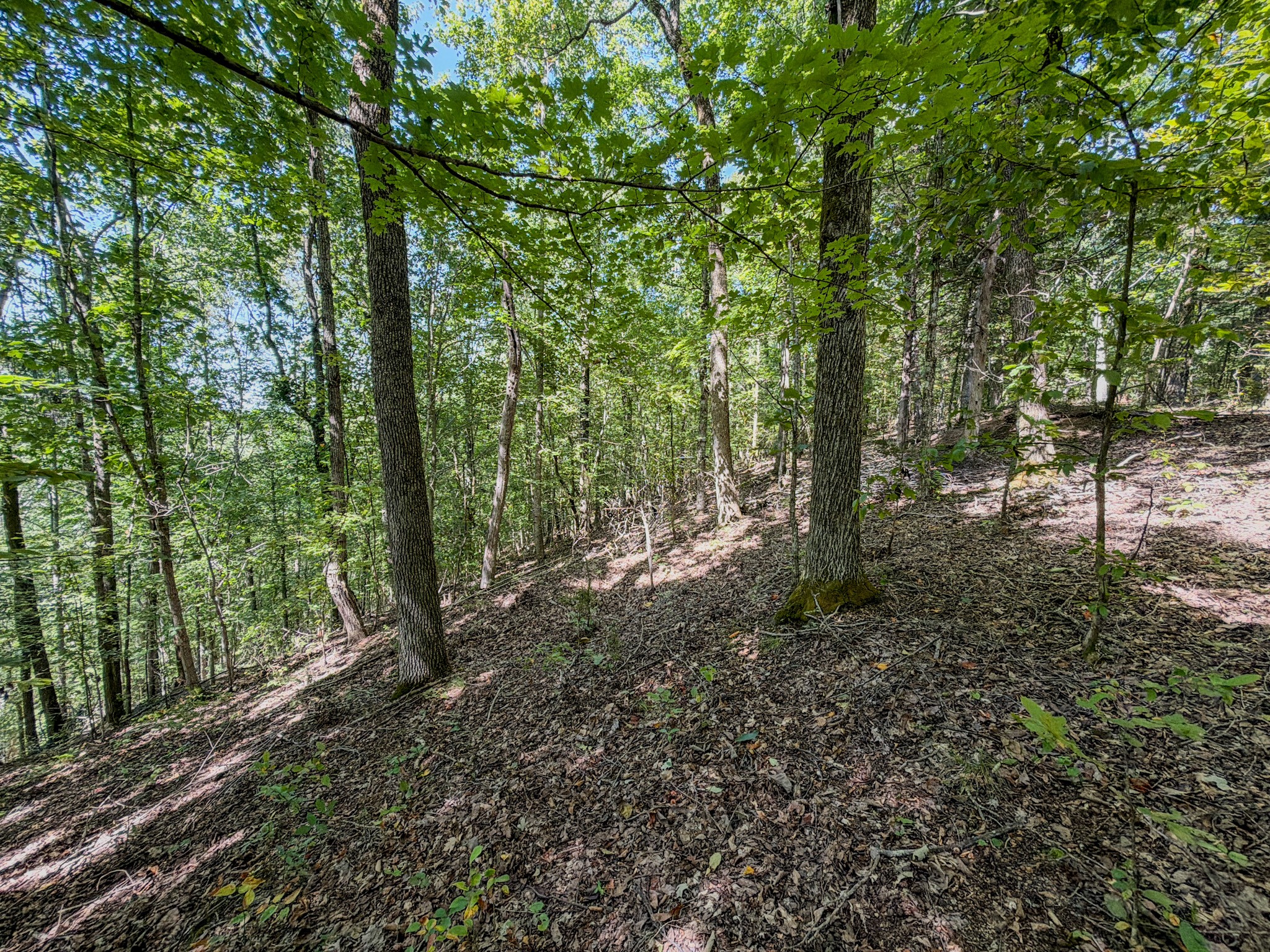 2195 Whiteoak Rd, E Property Photo 42