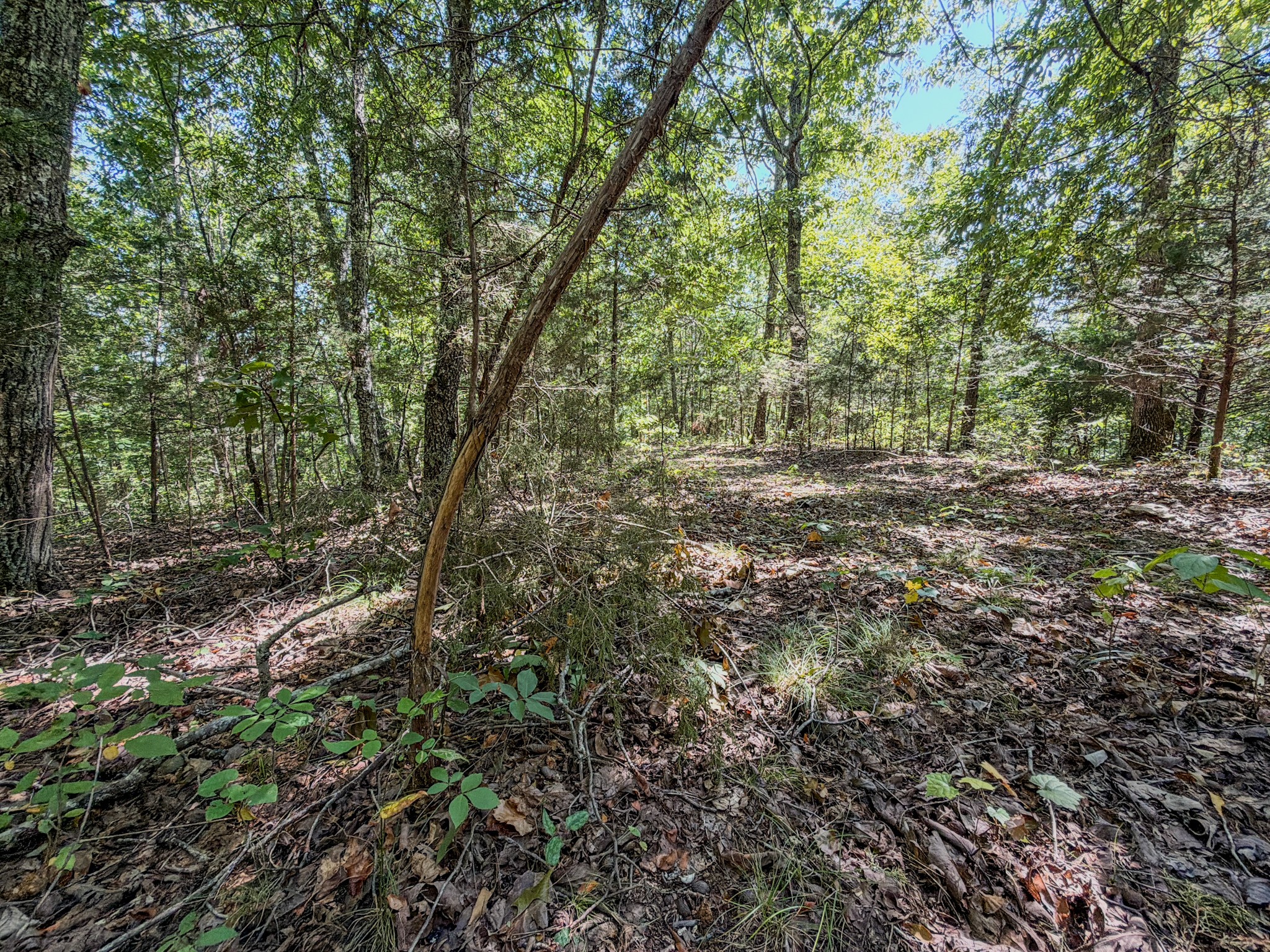 2195 Whiteoak Rd, E Property Photo 43