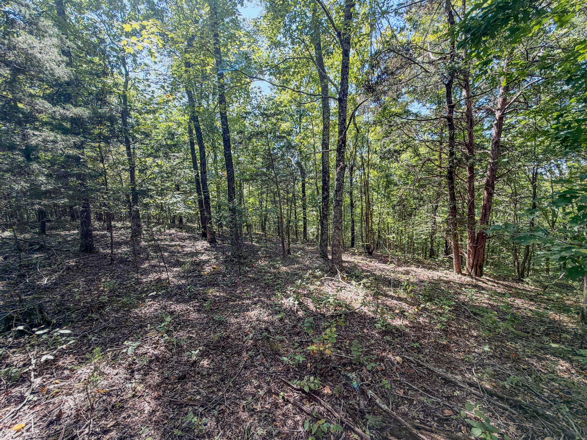 2195 Whiteoak Rd, E Property Photo 44