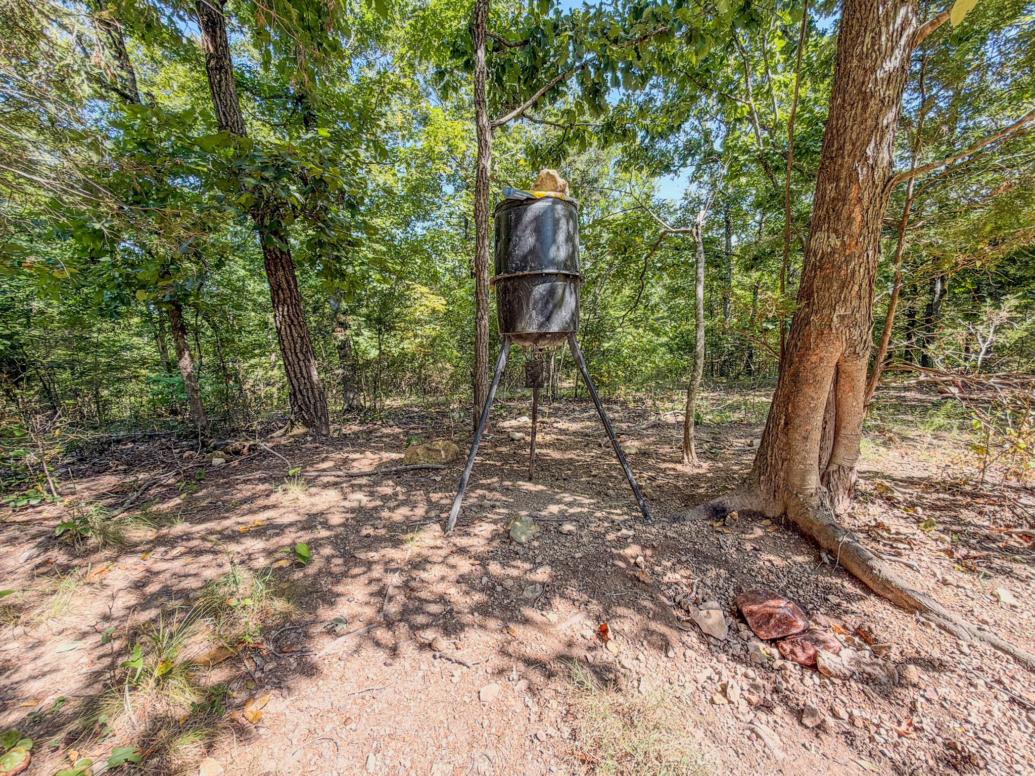 2195 Whiteoak Rd, E Property Photo 46