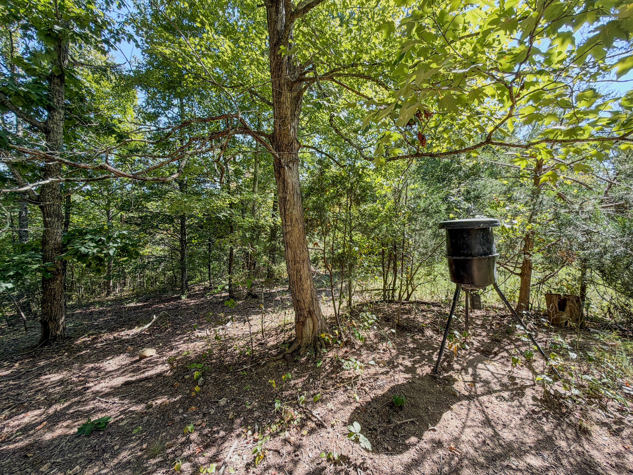 2195 Whiteoak Rd, E Property Photo 47