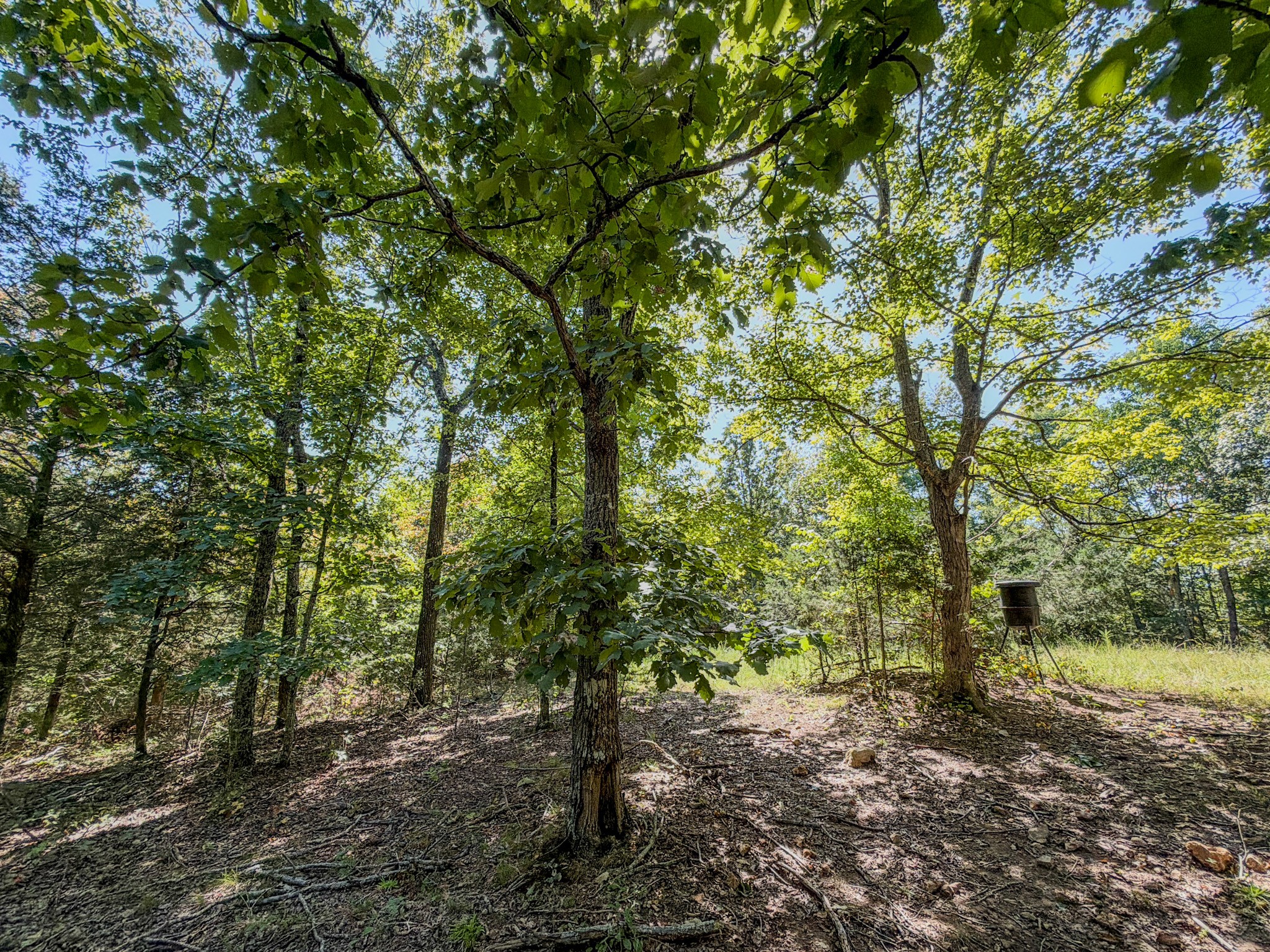 2195 Whiteoak Rd, E Property Photo 48
