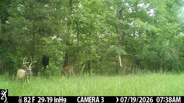 2195 Whiteoak Rd, E Property Photo 49