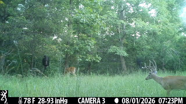 2195 Whiteoak Rd, E Property Photo 50