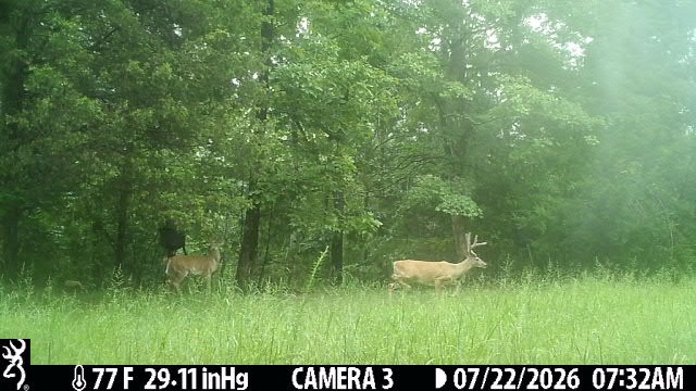2195 Whiteoak Rd, E Property Photo 51