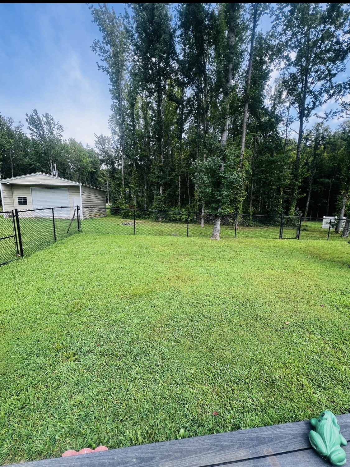 7485 Mcminnville Hwy Property Photo 45