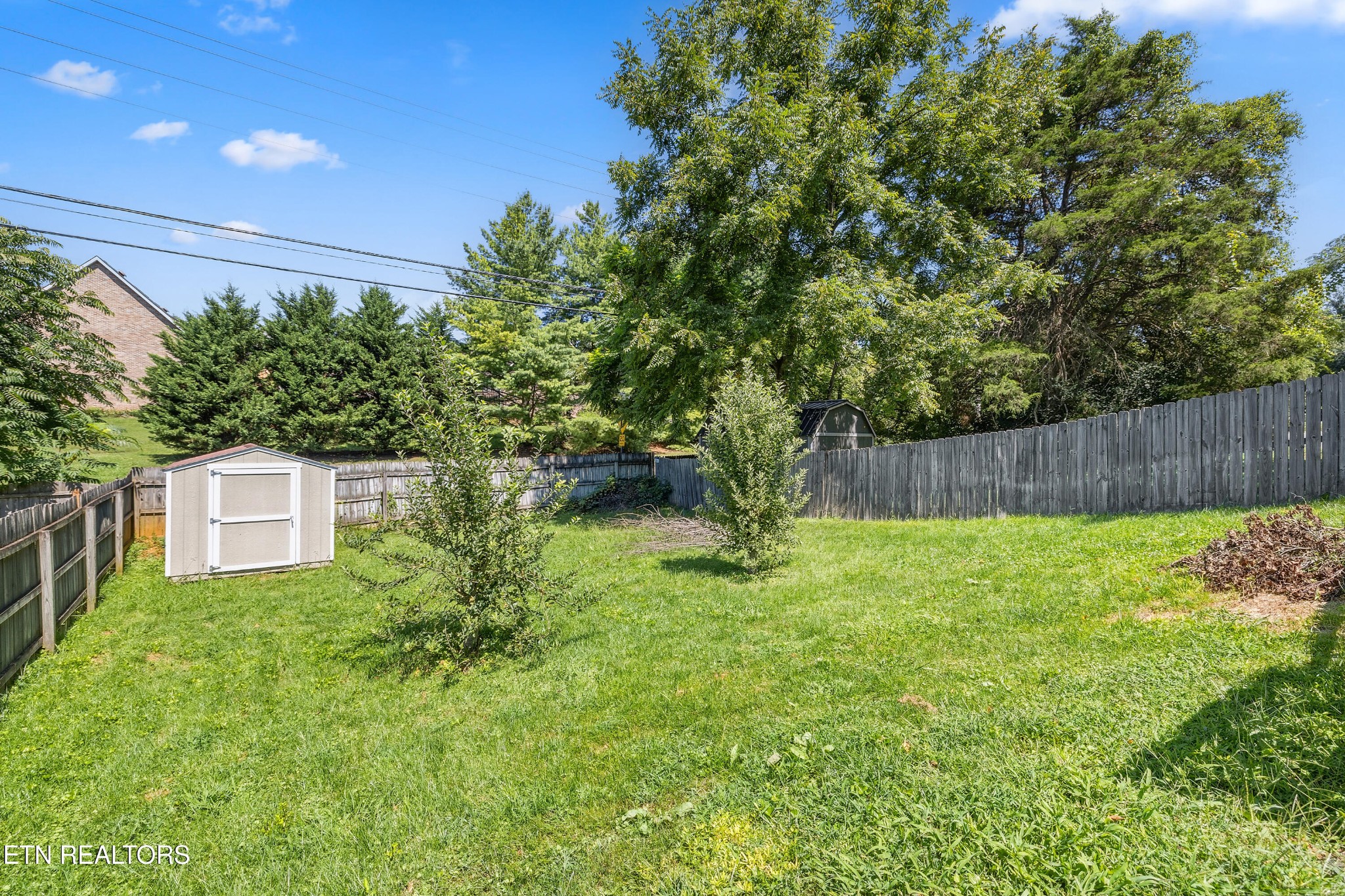 9217 Shady Mill Lane Property Photo 21