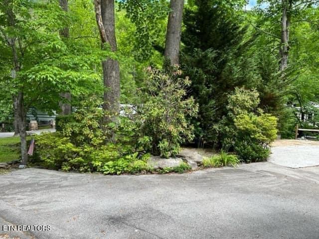 4229 E Parkway Property Photo 4