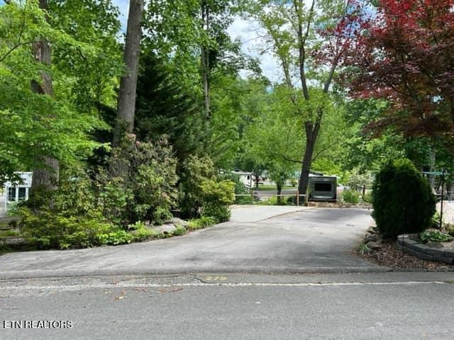 4229 E Parkway Property Photo 5