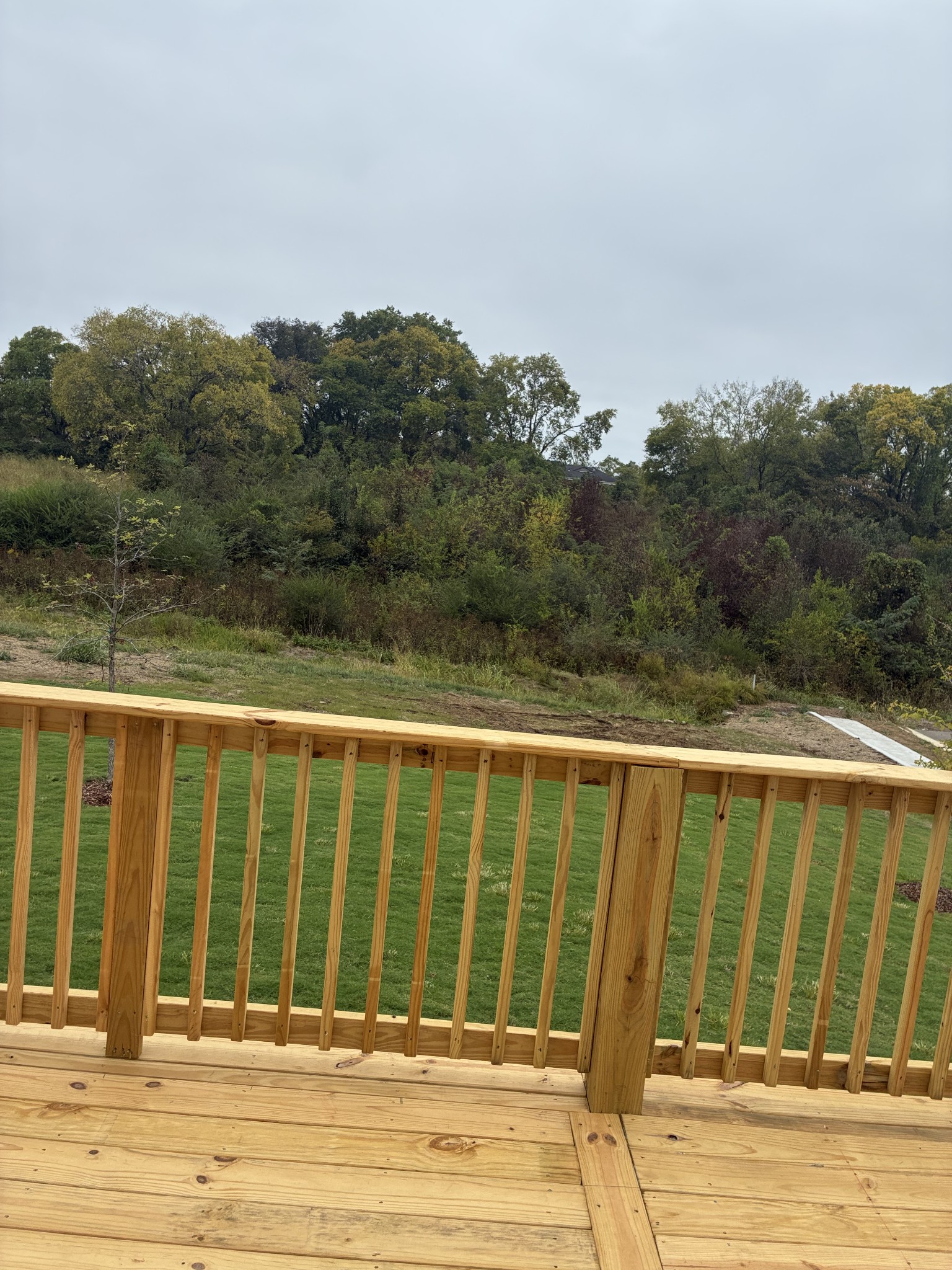 1100 Riverview Run Property Photo 42