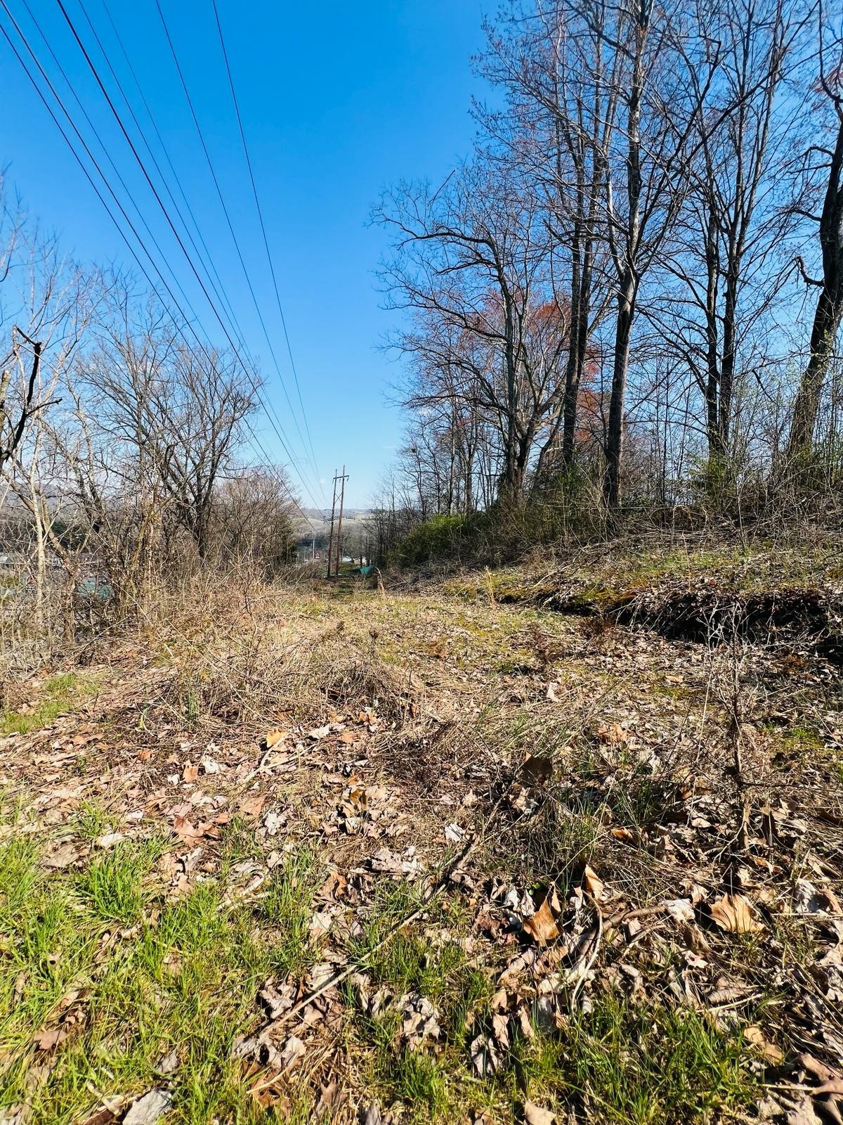 0 Nell St Property Photo 2