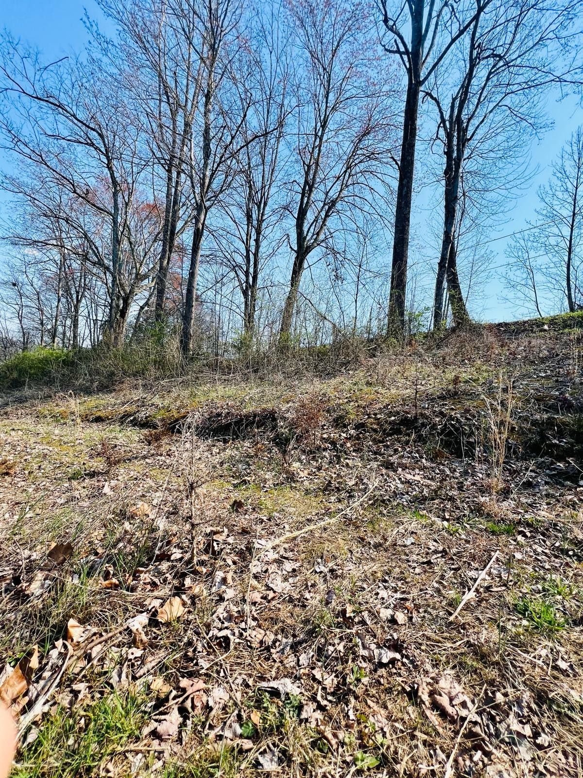0 Nell St Property Photo 5