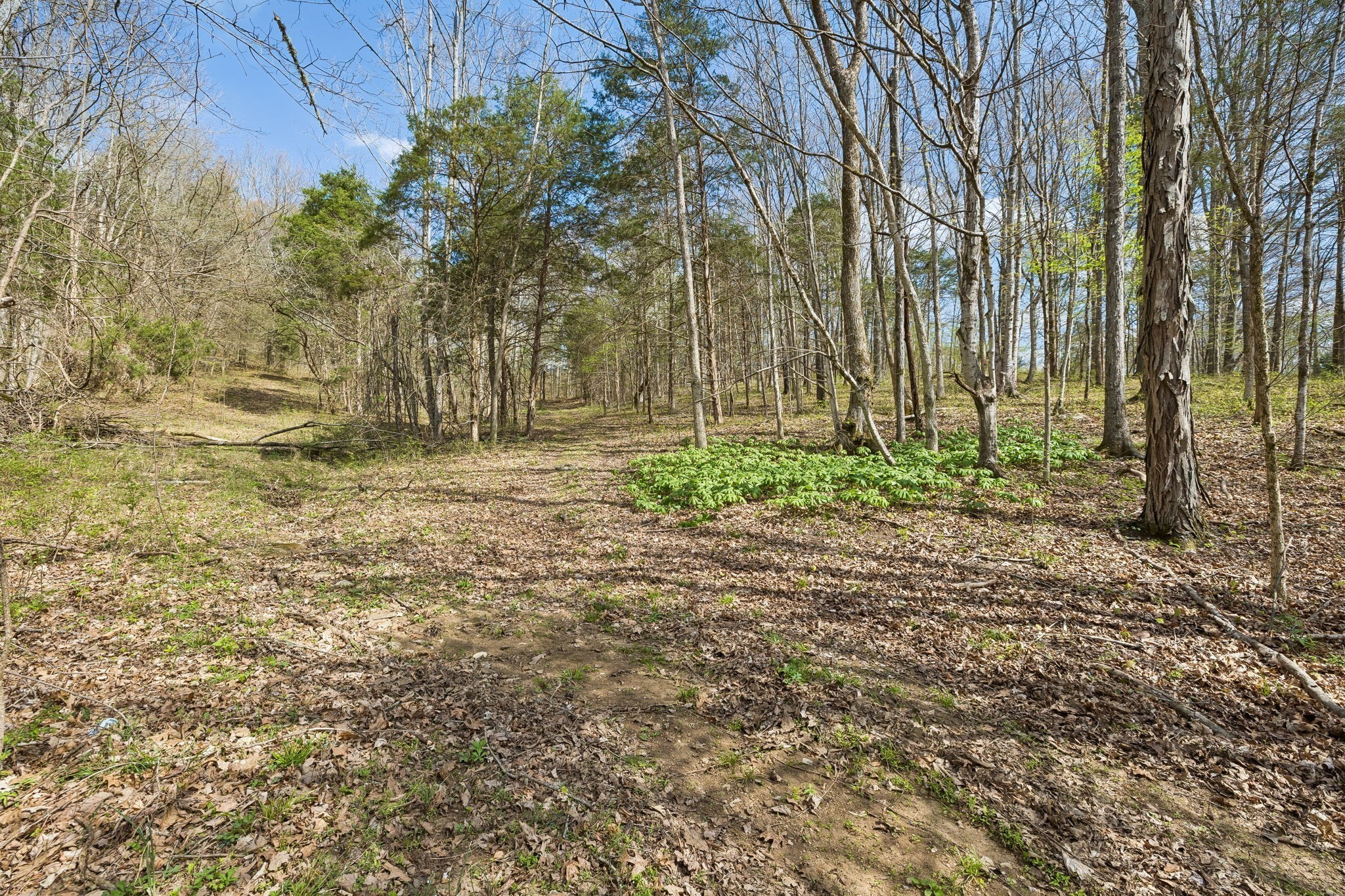 0 Turney Rd Property Photo 6