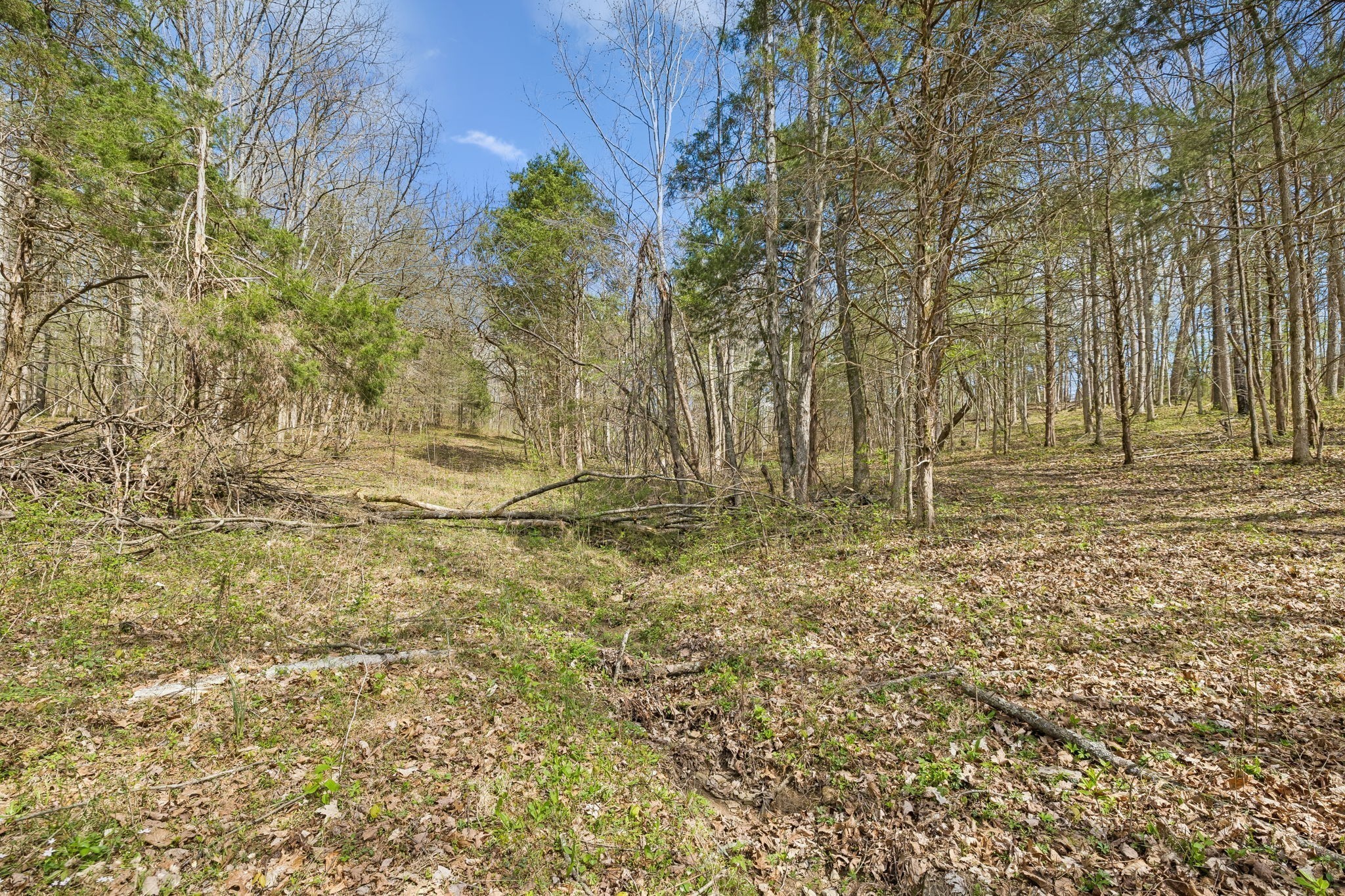0 Turney Rd Property Photo 7