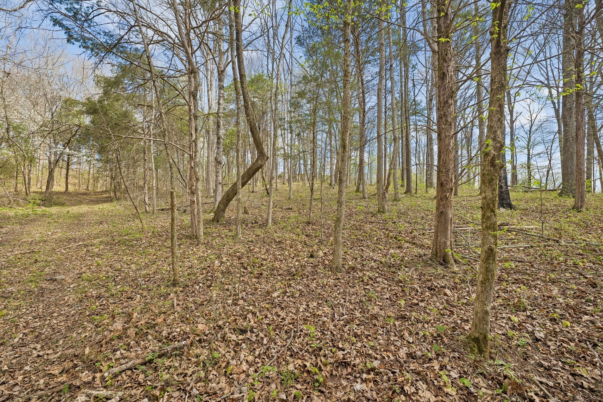 0 Turney Rd Property Photo 8