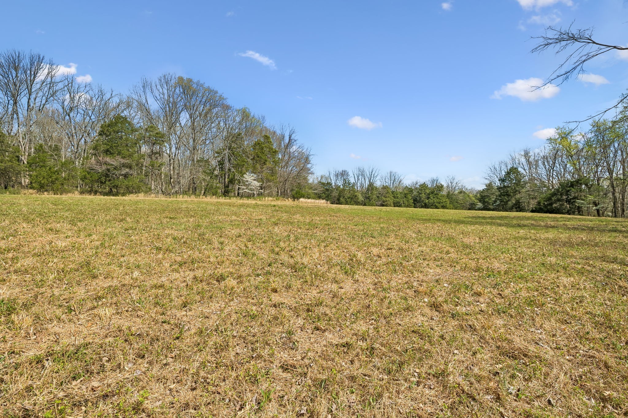 0 Turney Rd Property Photo 11