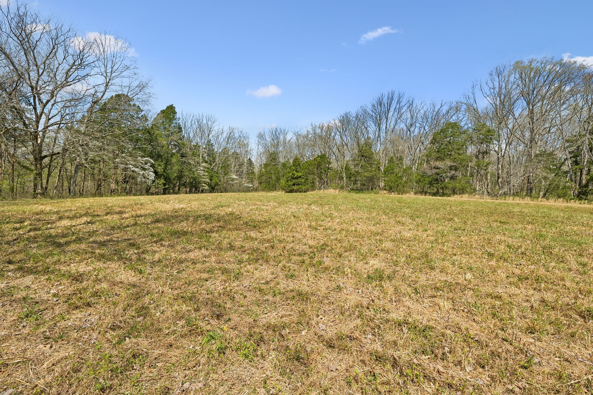 0 Turney Rd Property Photo 12