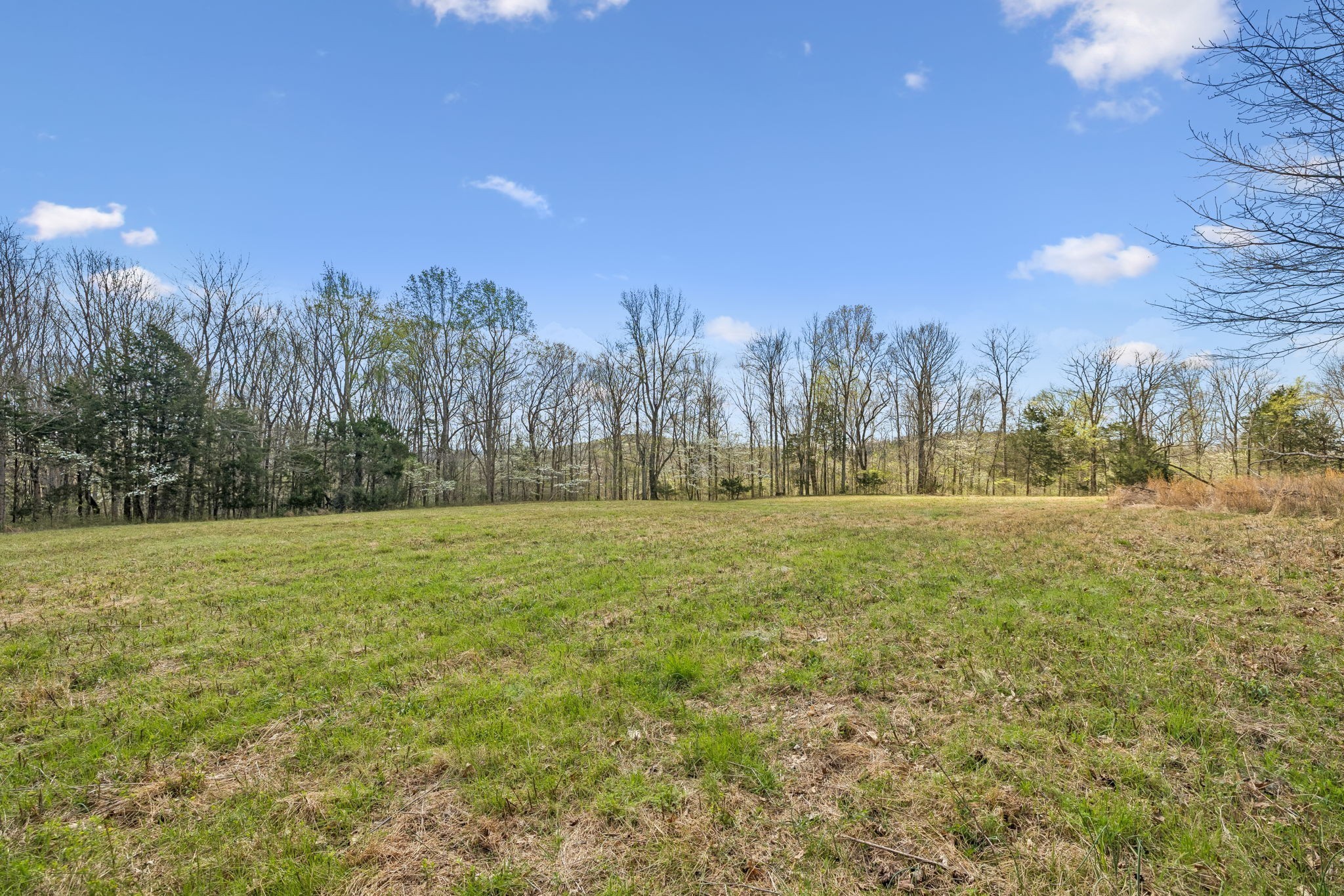 0 Turney Rd Property Photo 13